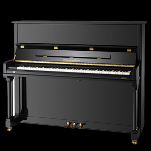 Seiler钢琴GS122CLASSIC-EBHP_赛乐尔钢琴GS系列-欧乐钢琴批发
