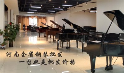 <font color='#000000'>郑州中原区博兰斯勒钢琴哪个系列好-欧乐钢琴工厂店</font>