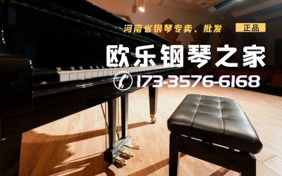 <b>河南省珠江钢琴三益钢琴赛乐尔钢琴卡瓦依钢琴专卖店</b>